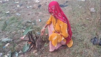 Indian porn oldman sex videos